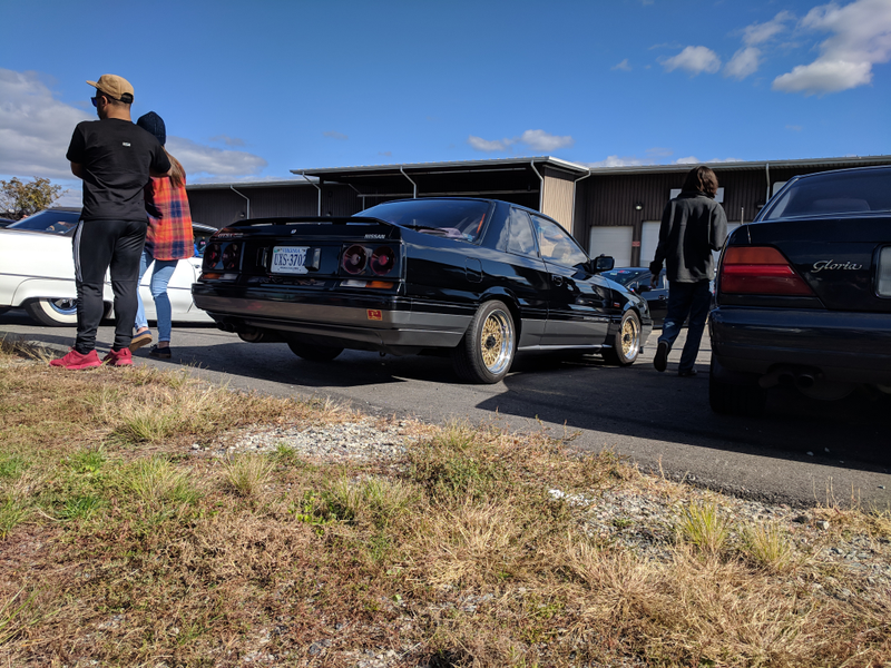 R31